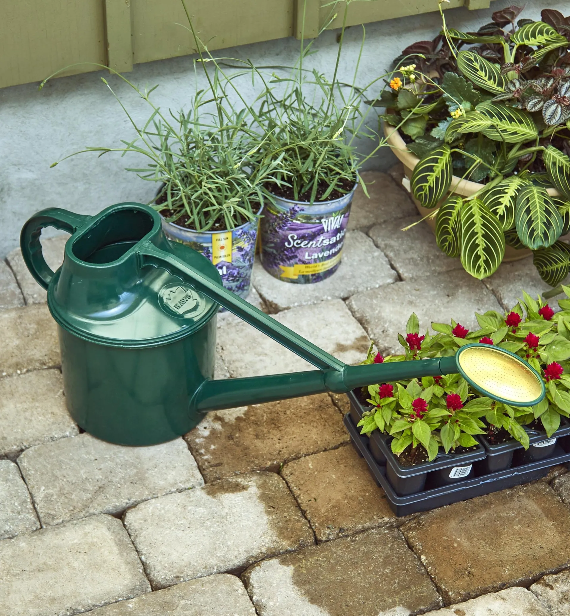 Lee Valley Haws Plastic Watering Can