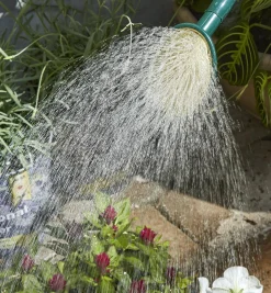 Lee Valley Haws Plastic Watering Can