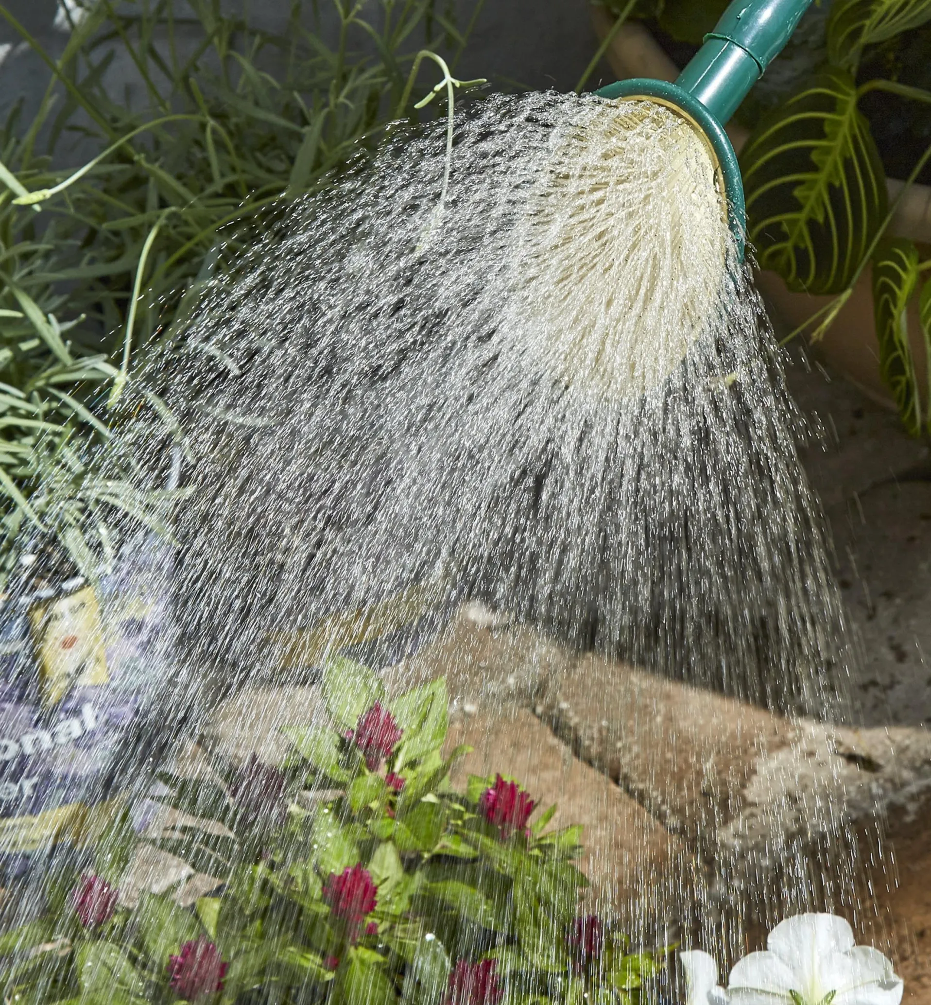 Lee Valley Haws Plastic Watering Can