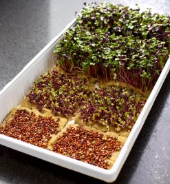 Lee Valley Hemp-Fiber Grow Mats