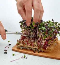 Lee Valley Hemp-Fiber Grow Mats