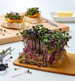 Lee Valley Hemp-Fiber Grow Mats