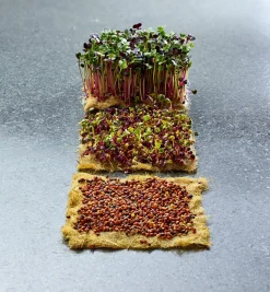 Lee Valley Hemp-Fiber Grow Mats