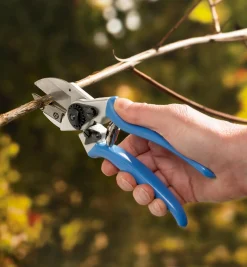 Lee Valley High-Quality Anvil Pruner