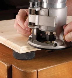 Lee Valley Hockey Puck