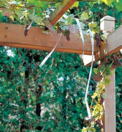 Lee Valley Holographic Scare Tape