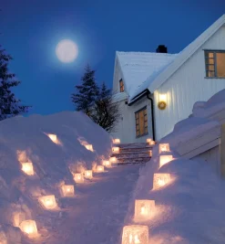 Lee Valley Ice Lantern Mold