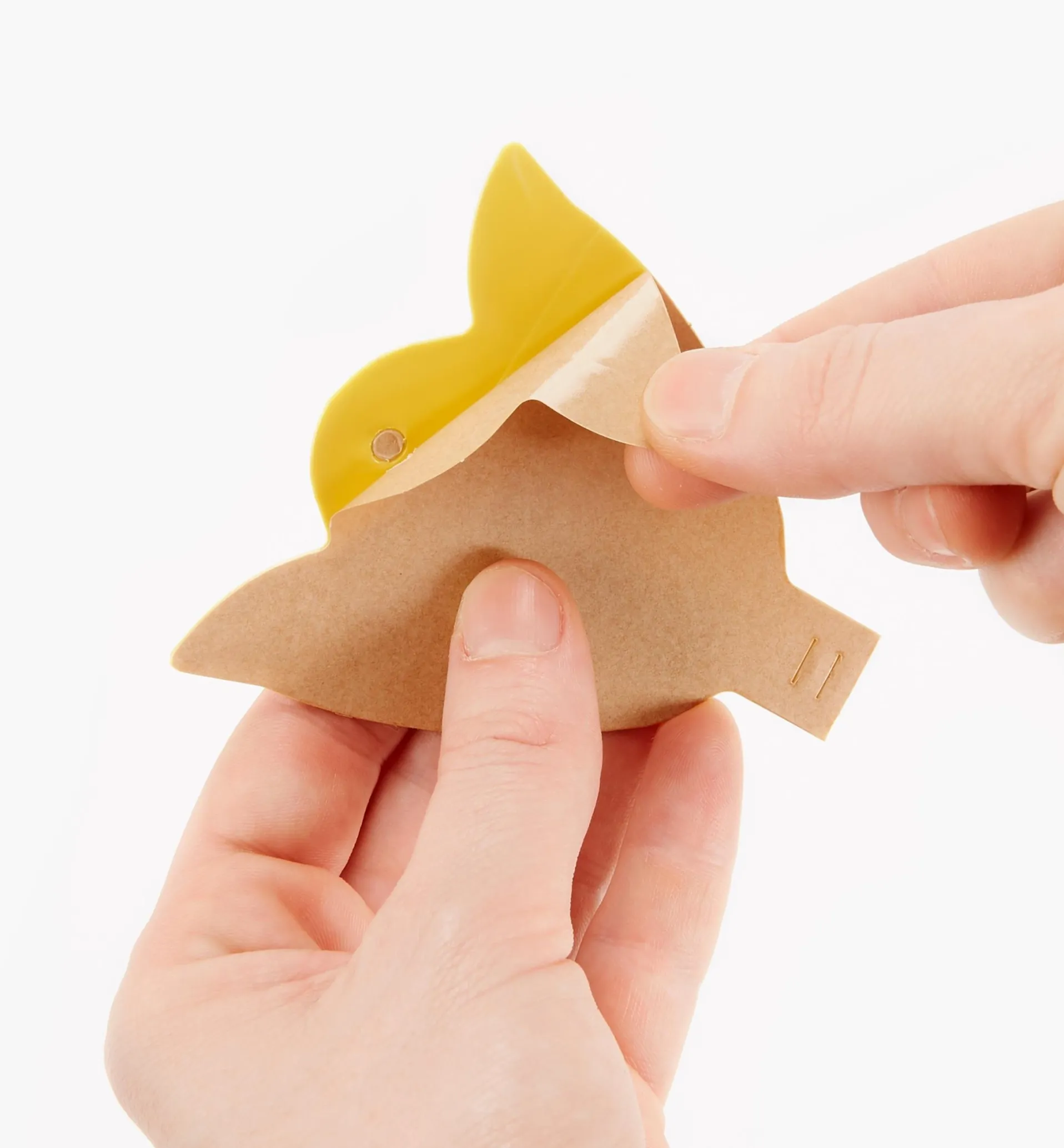 Lee Valley Indoor Sticky Traps