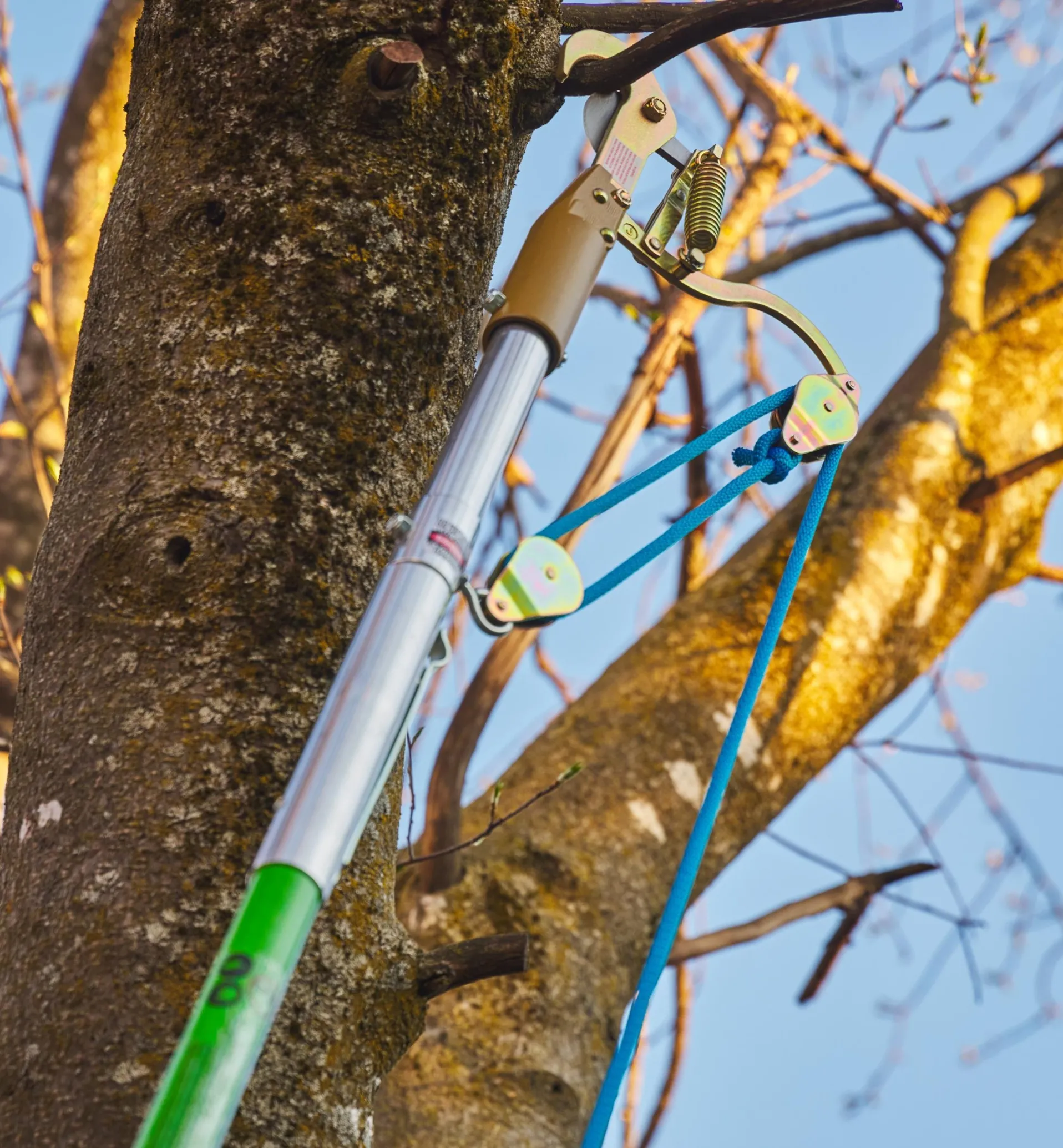 Lee Valley Jameson Professional Tree-Pruning Kit