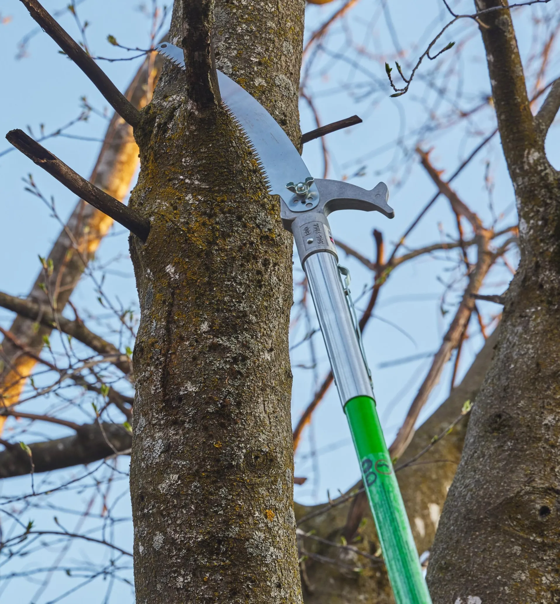Lee Valley Jameson Professional Tree-Pruning Kit