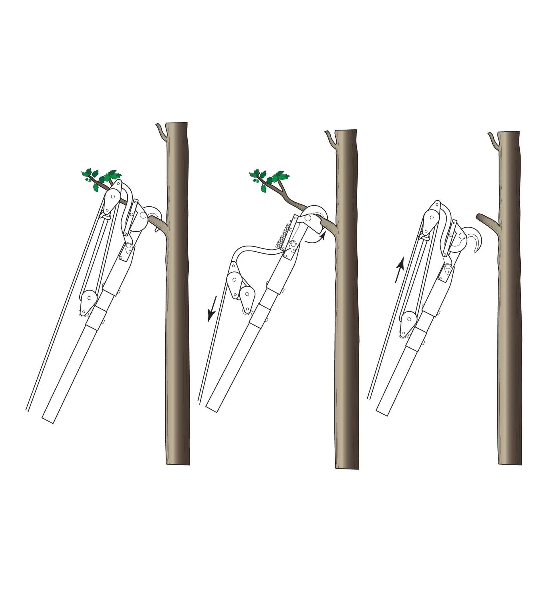 Lee Valley Jameson Professional Tree-Pruning Kit