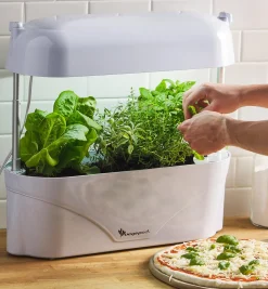 Lee Valley LED Grow Light & Planter