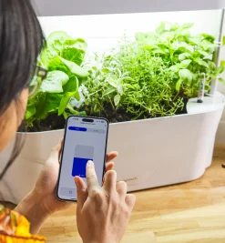 Lee Valley LED Grow Light & Planter