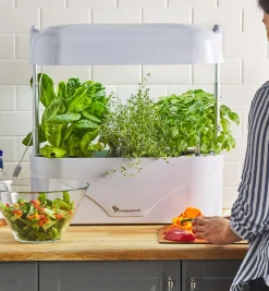 Lee Valley LED Grow Light & Planter