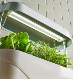 Lee Valley LED Grow Light & Planter