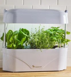 Lee Valley LED Grow Light & Planter