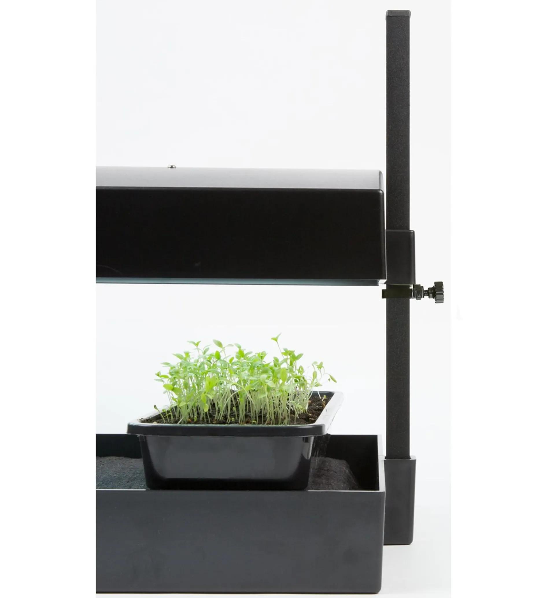 Lee Valley LED Grow-Light Kits