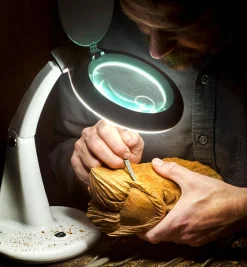 Lee Valley LED Tabletop Magnifying Lamp