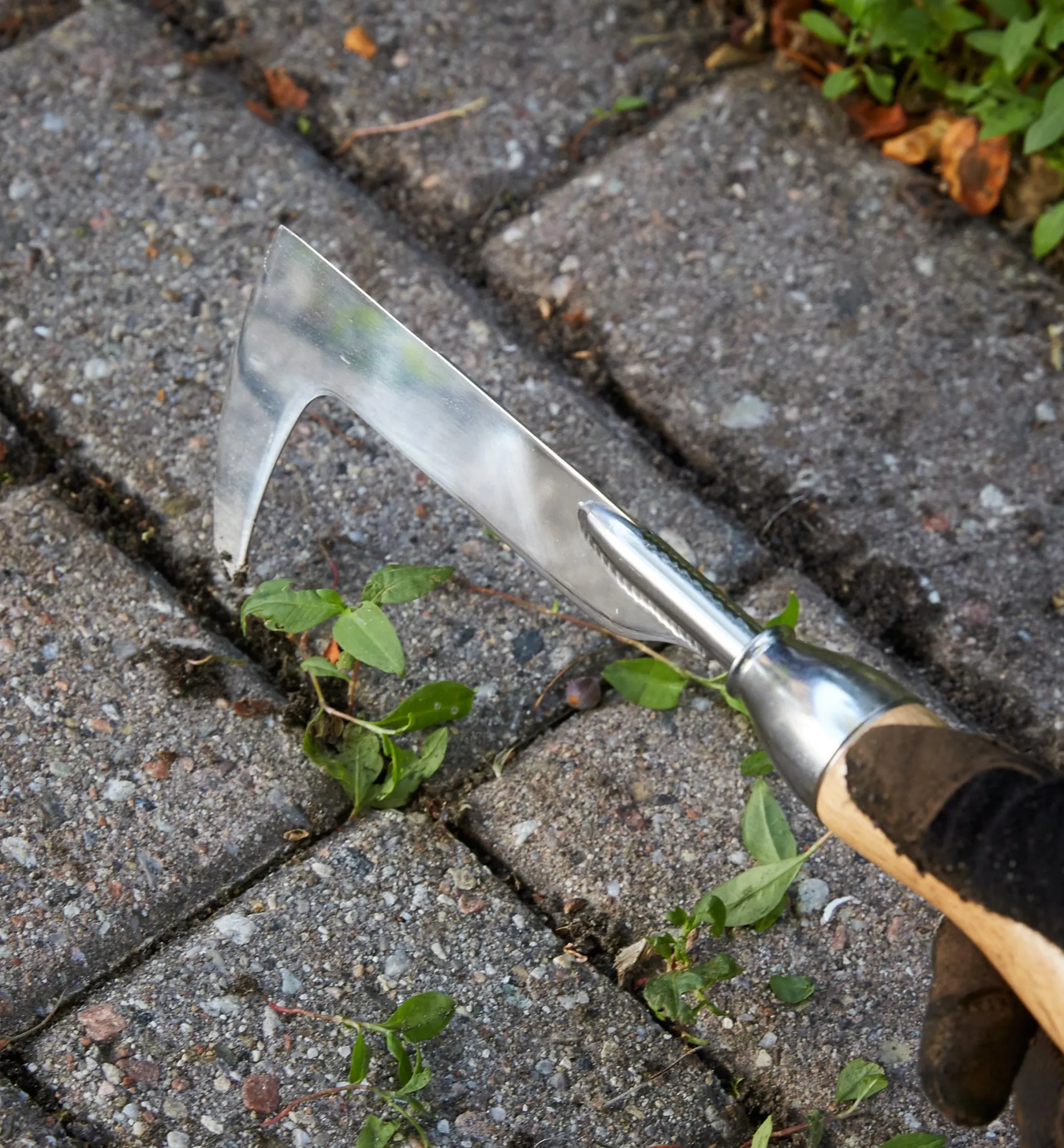 Lee Valley Crack Weeder