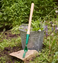 Lee Valley Dandelion Diggers