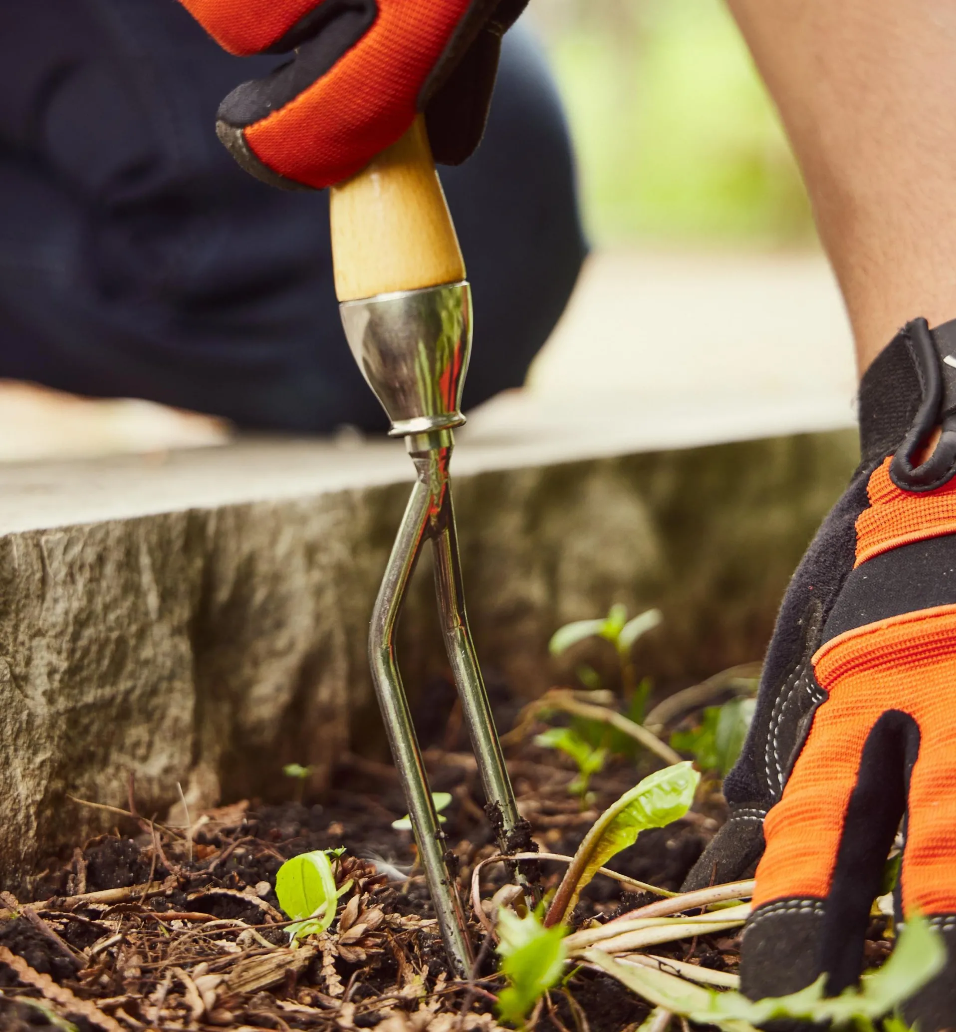 Lee Valley Jekyll Weeder