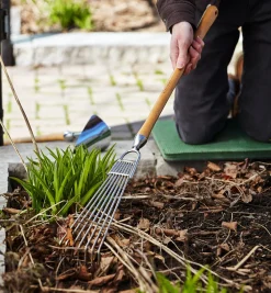 Lee Valley Mid-Length Bed Rake