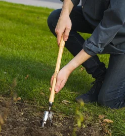 Lee Valley Mid-Length Bulb Planter