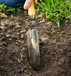 Lee Valley Narrow Trowel