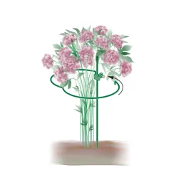 Lee Valley Peony Support