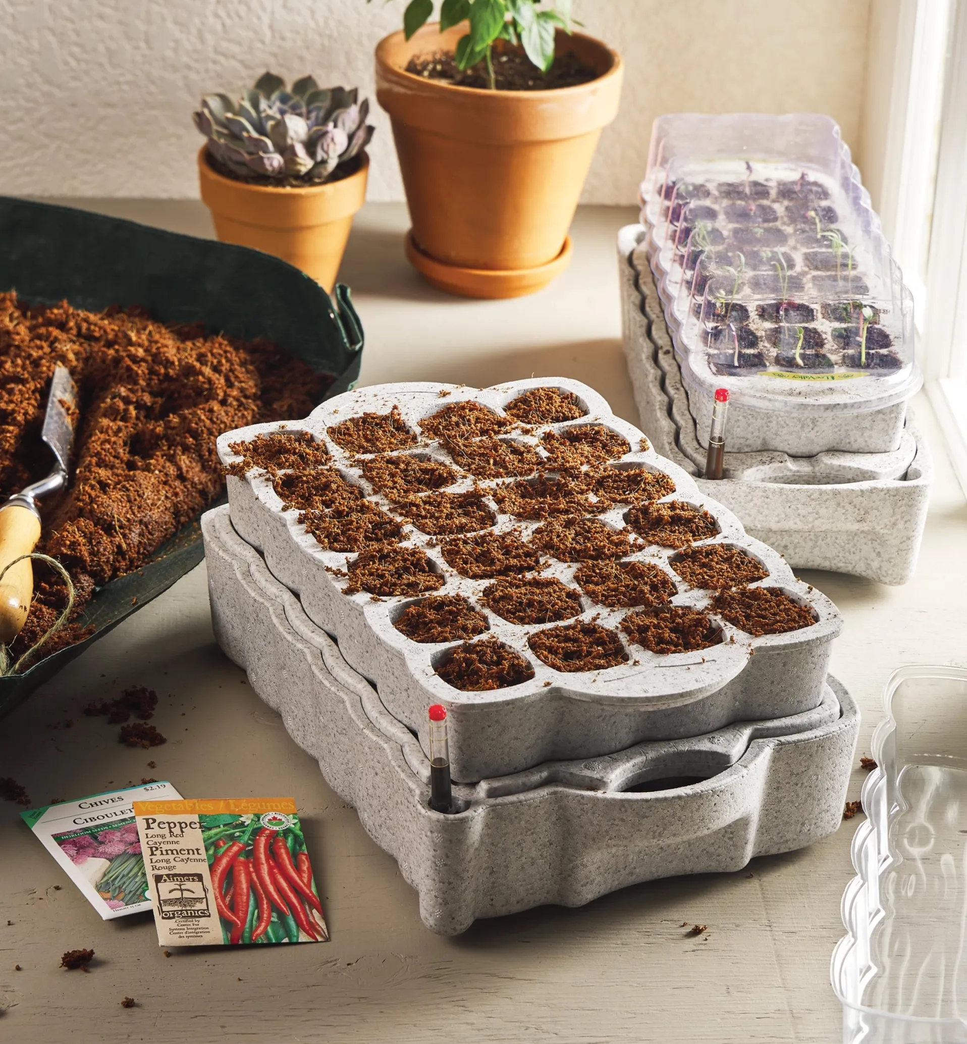 Lee Valley Self-Watering Seed Starter