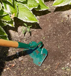 Lee Valley Slim Draw Hoe