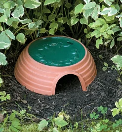 Lee Valley Toad House