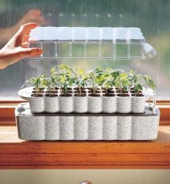 Lee Valley Windowsill Seed Starter