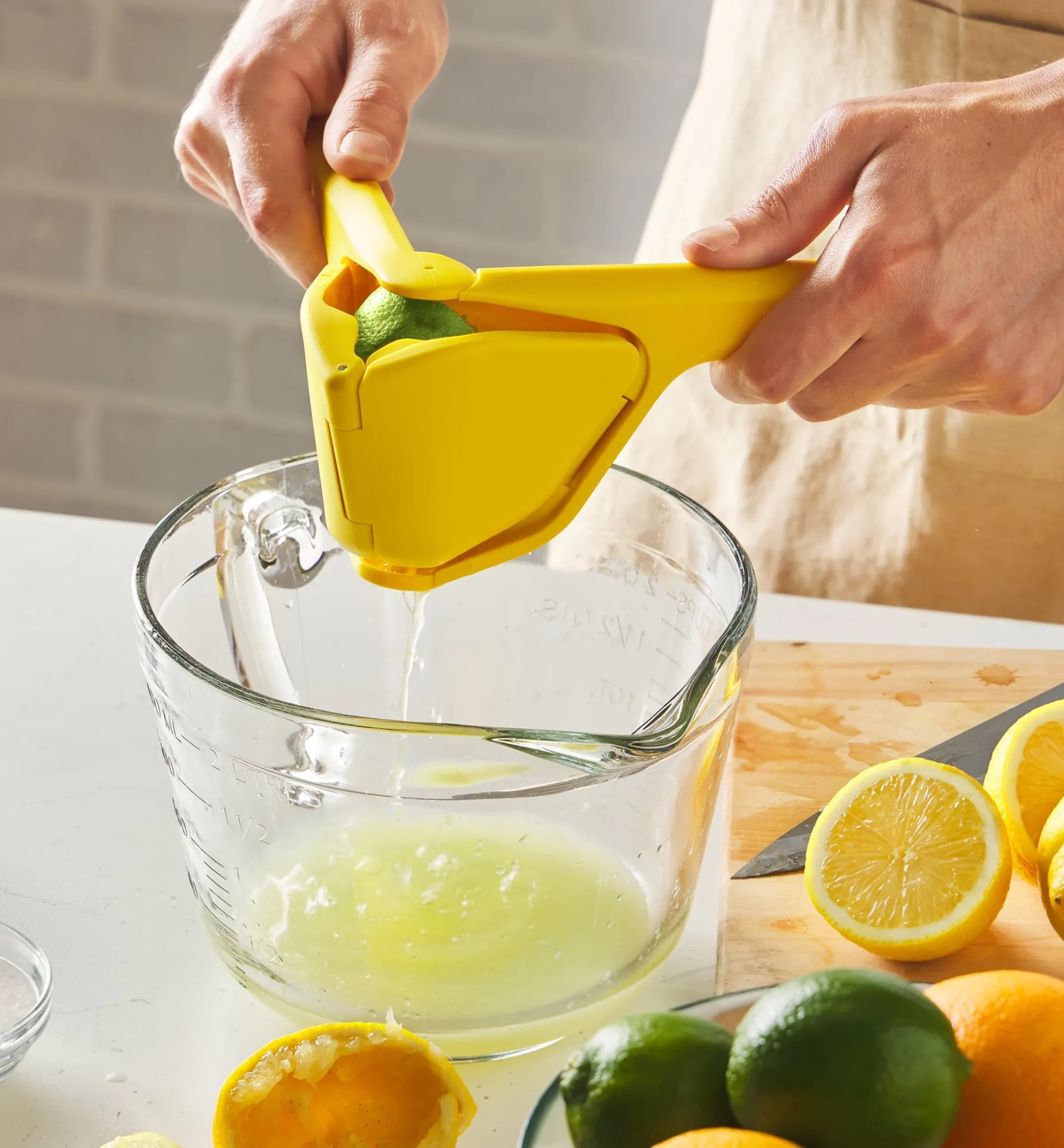 Lee Valley Lemon & Lime Juicer