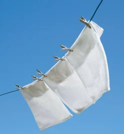 Lee Valley Lifetime Clothespins