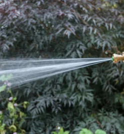 Lee Valley Little Big Shot Nozzle