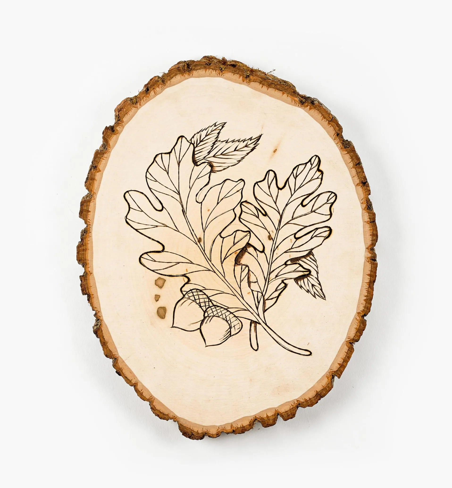 Lee Valley Live-Edge Oval Basswood Plaques