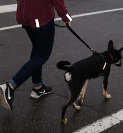 Lee Valley Magnetic Reflector Strips