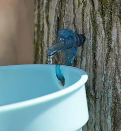 Lee Valley Maple Syrup Starter Kit