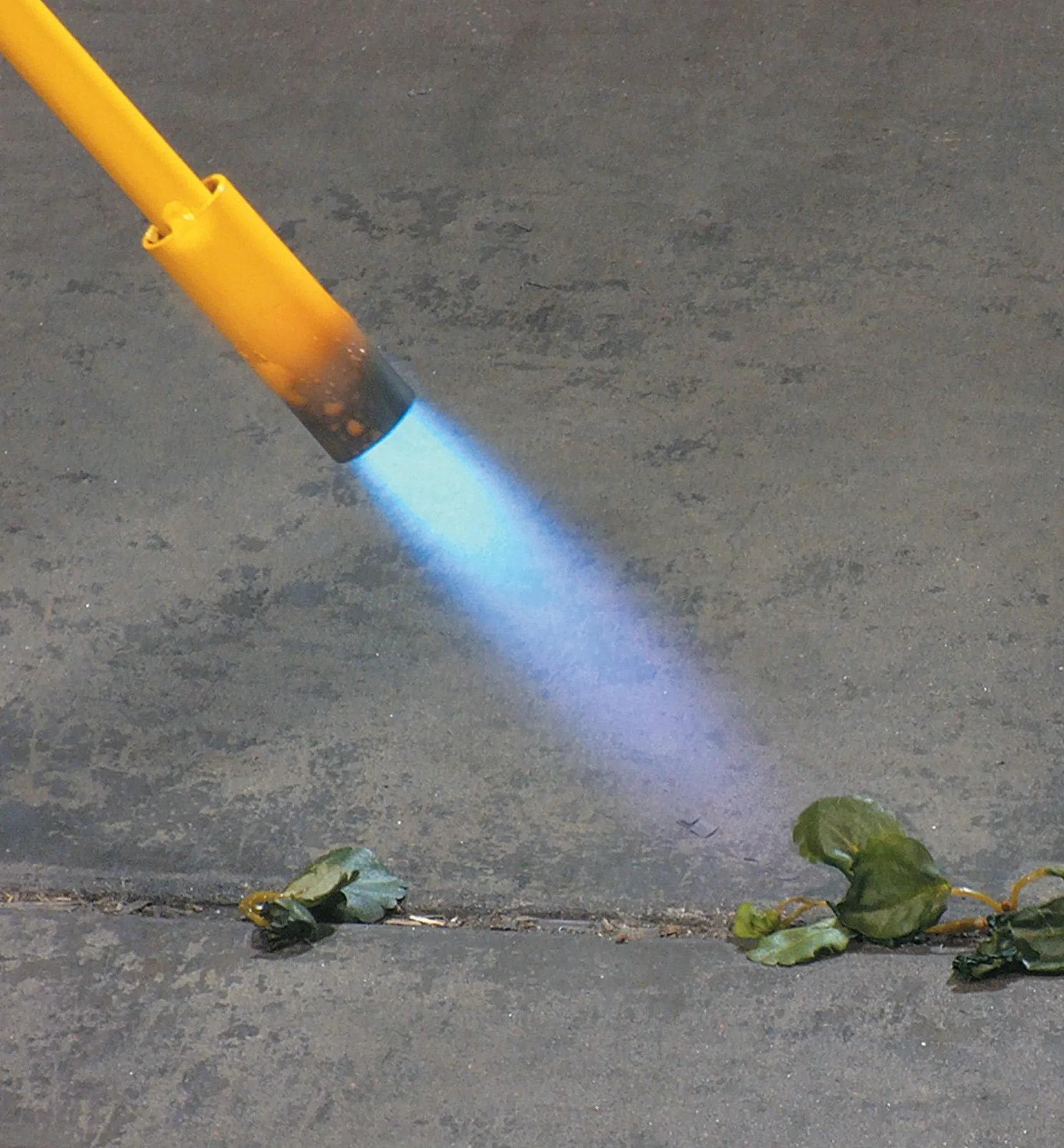 Lee Valley Mini Weed Torch