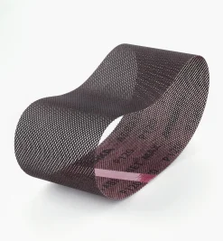 Lee Valley Mirka Abranet Max 4