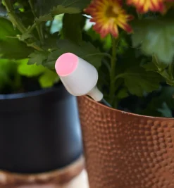 Lee Valley Moisture Sensor