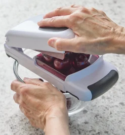 Lee Valley Multi-Cherry Pitter