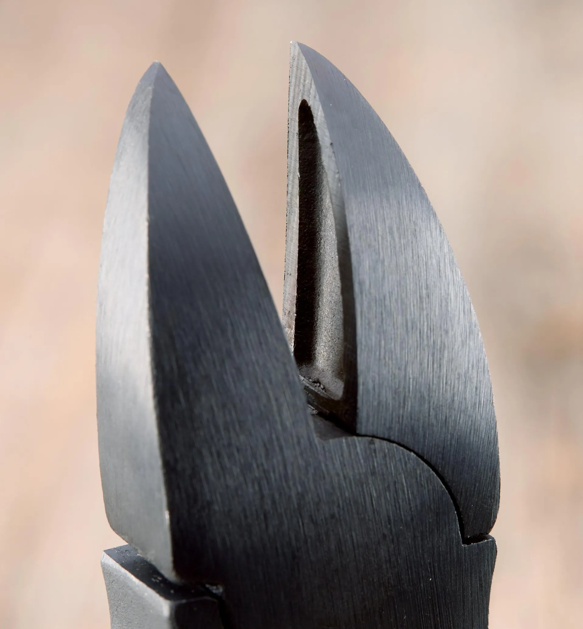 Lee Valley Nail Hunter