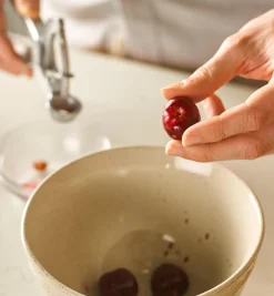 Lee Valley Olive & Cherry Pitter