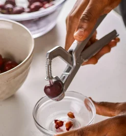 Lee Valley Olive & Cherry Pitter