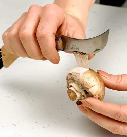 Lee Valley Opinel Mushroom Knife