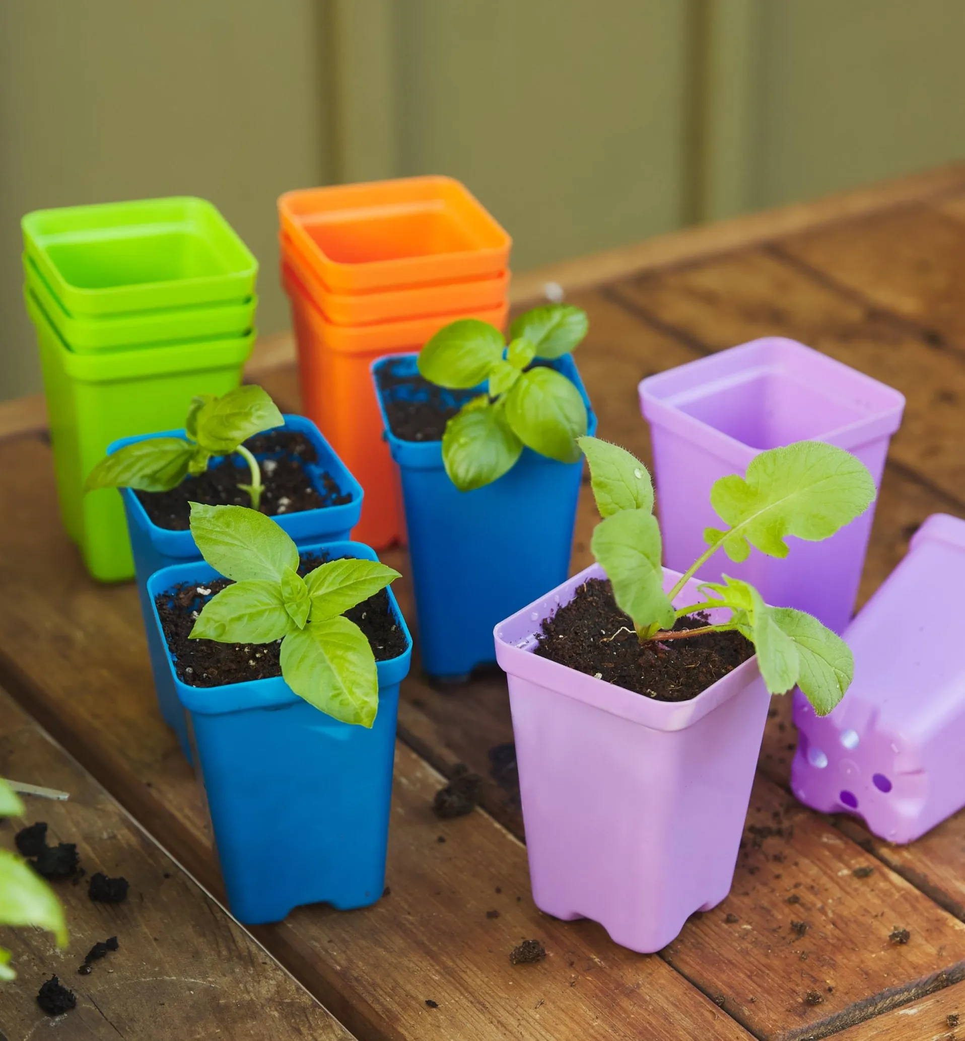 Lee Valley 32-Pack Of 2 1/2" Multicolor Pots With Propagation Tray