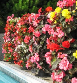 Lee Valley Pair Of Flower Towers