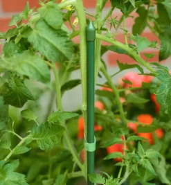 Lee Valley Permanent Stakes